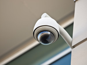 Video Surveillance in Government